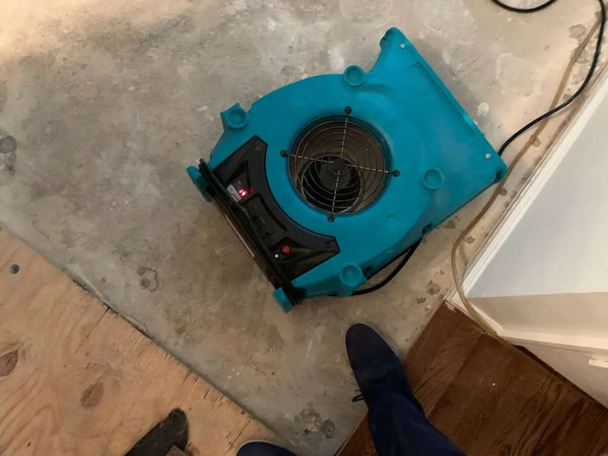 Air mover drying subfloor during Leak Detection & Repair in Collierville