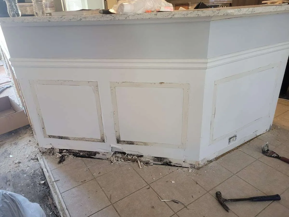 Water damage and mold on kitchen during Sewage Cleanup & Sanitation in Collierville